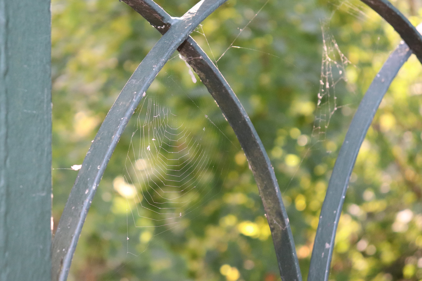 Altweibersommer