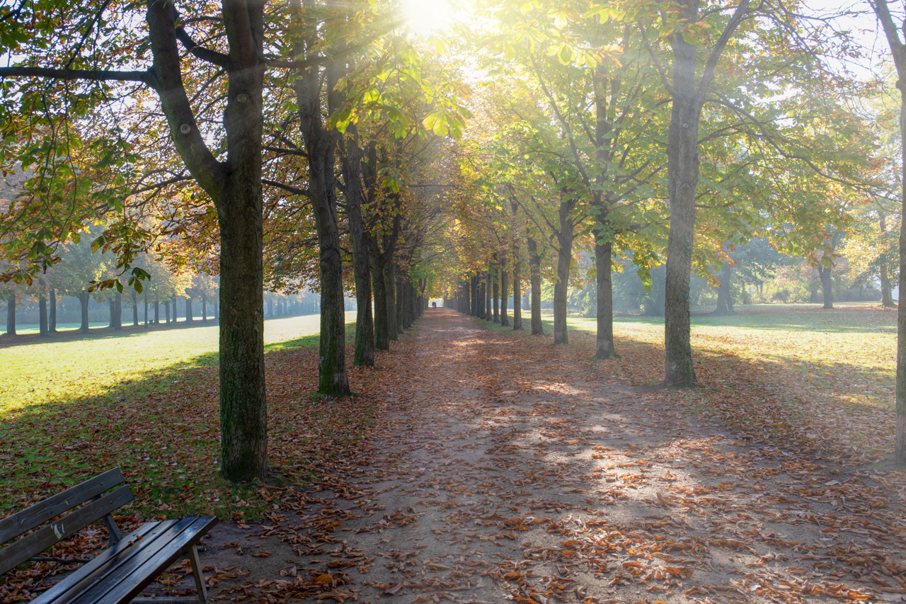 Altweibersommer