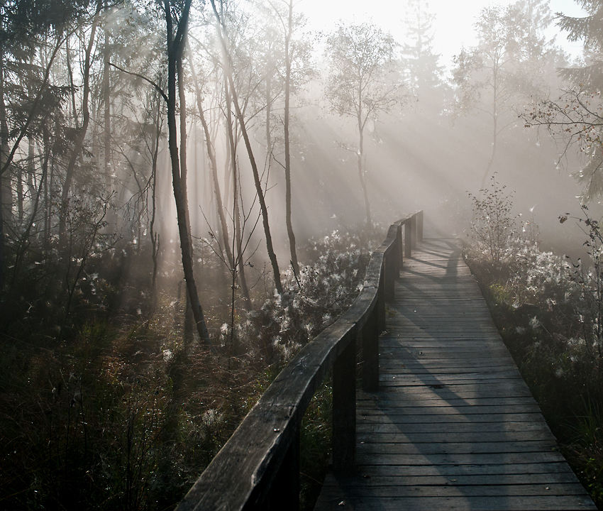 Altweibersommer II