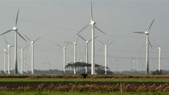 Altweibersommer in der Marsch