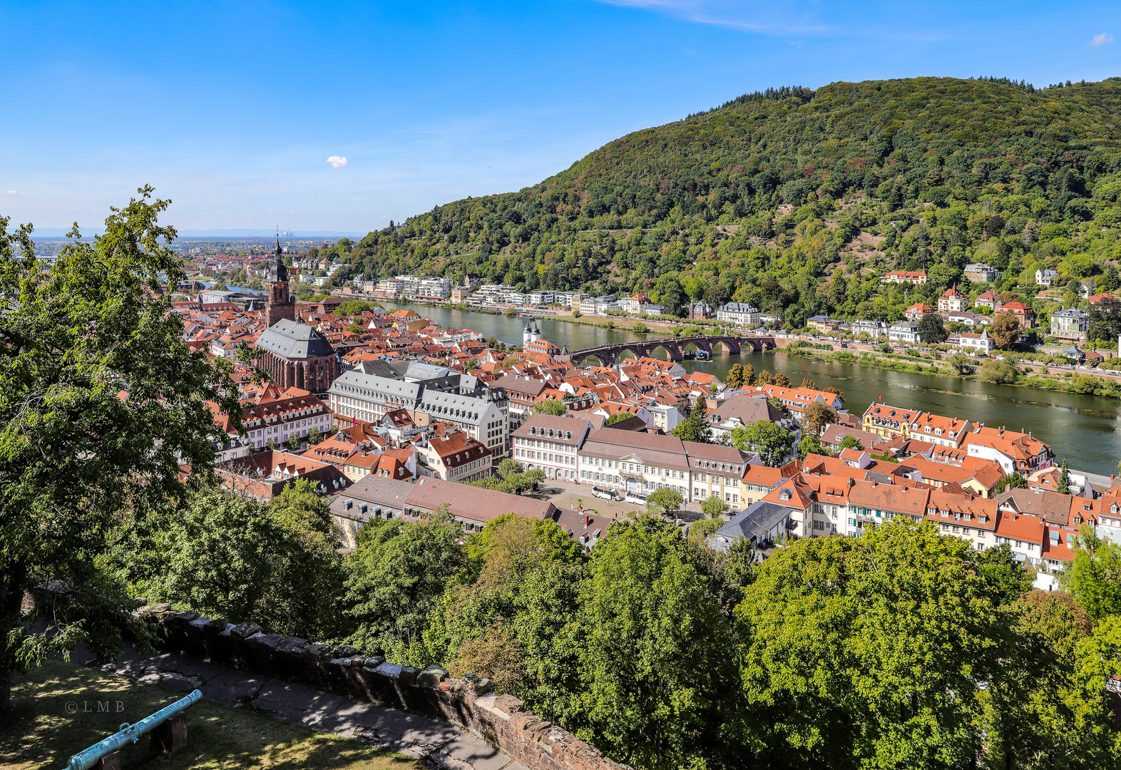 Altweibersommer in Heidelberg