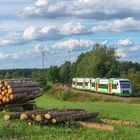 Altweibersommer in Thüringen