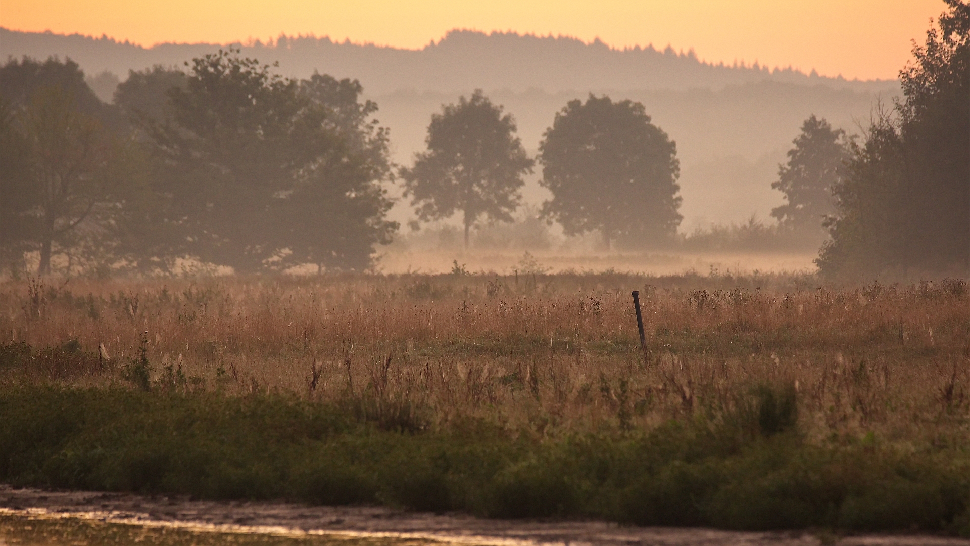 Altweibersommer-Morgen im Ruhrtal