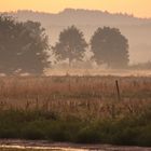 Altweibersommer-Morgen im Ruhrtal