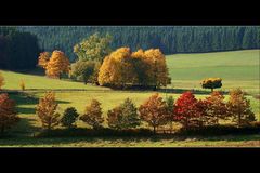 *** Altweibersommer oder Herbst ***