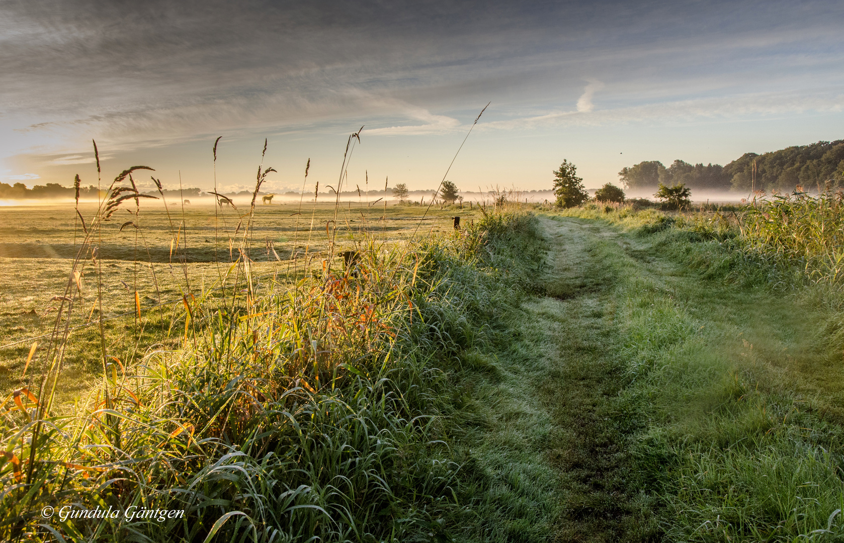 Altweibersommermorgen