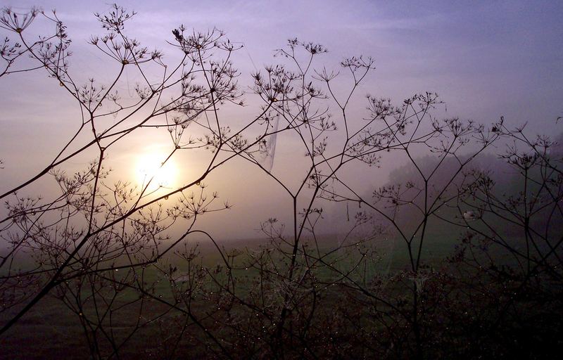 altweibersommermorgen