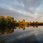 Altweibersommermorgenlicht