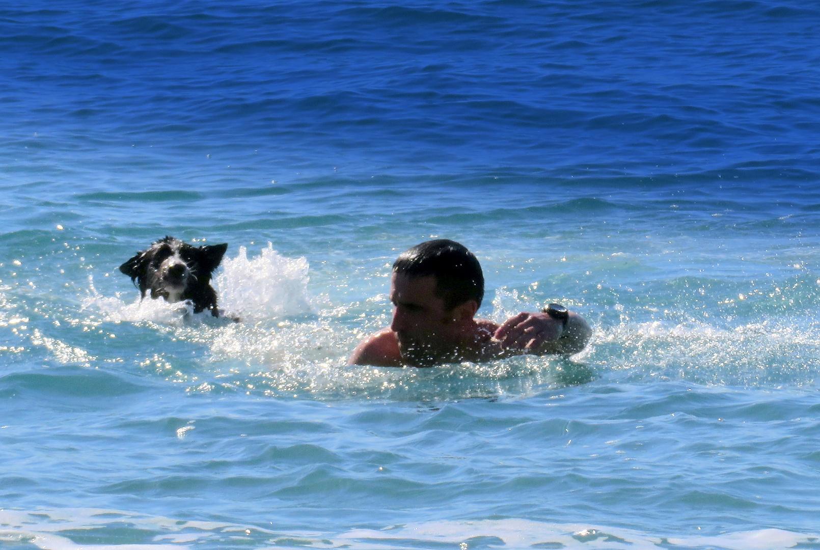 Alù et Augusto dans la mer