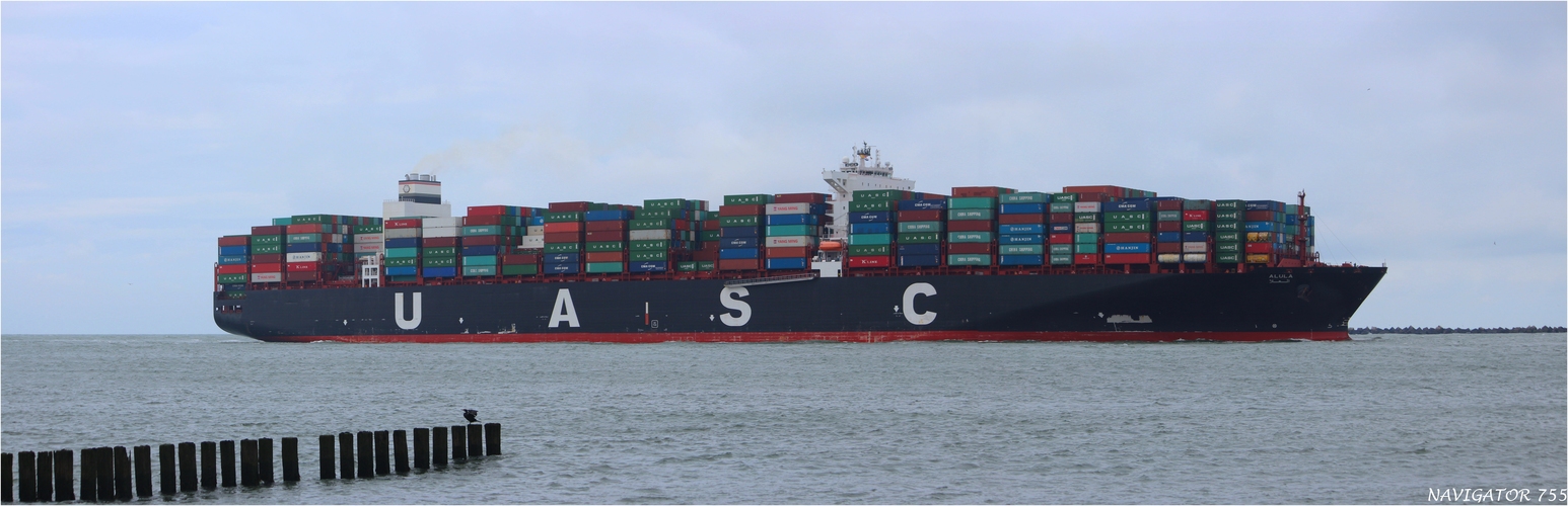 ALULA / Container Ship / Rotterdam