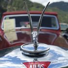 Alvis