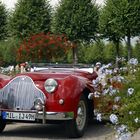 Alvis TB 14