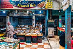 Alwasif fish