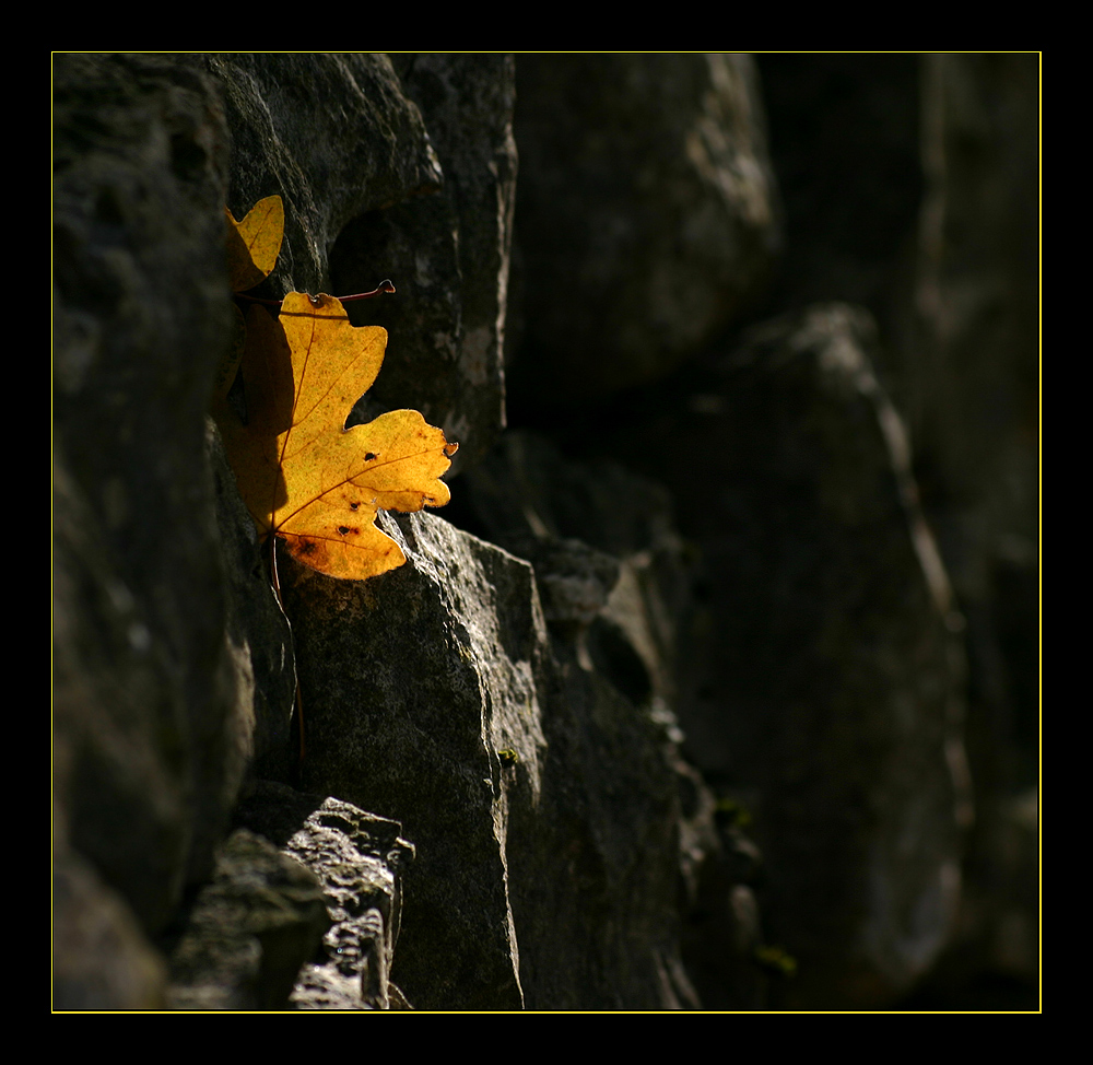 Always hope and light...
