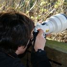 User Profile Photo
