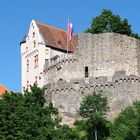 Alzenau - Burg