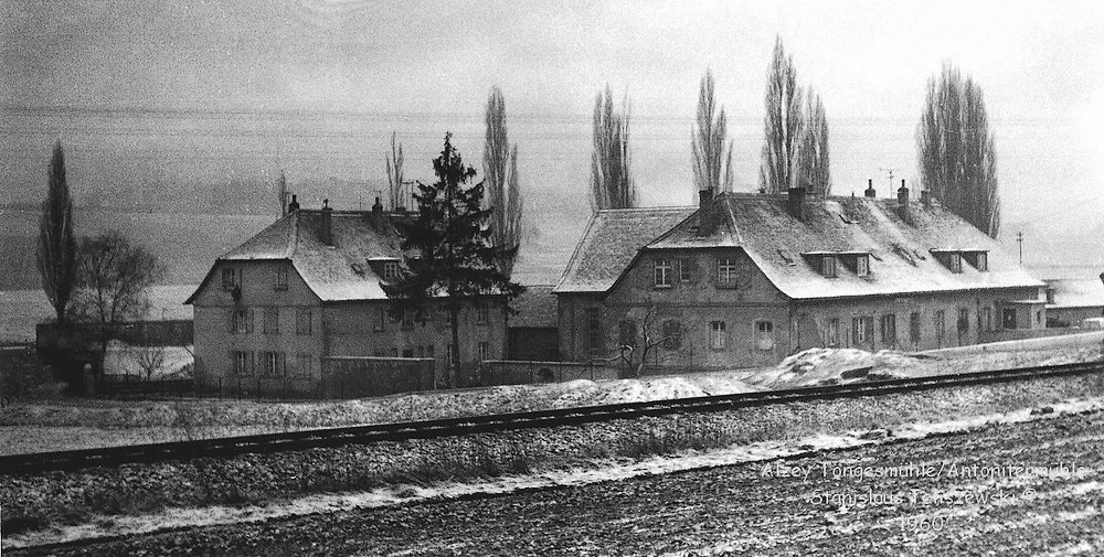 Alzey: Antonitermühle Töngesmühle 1960  ©