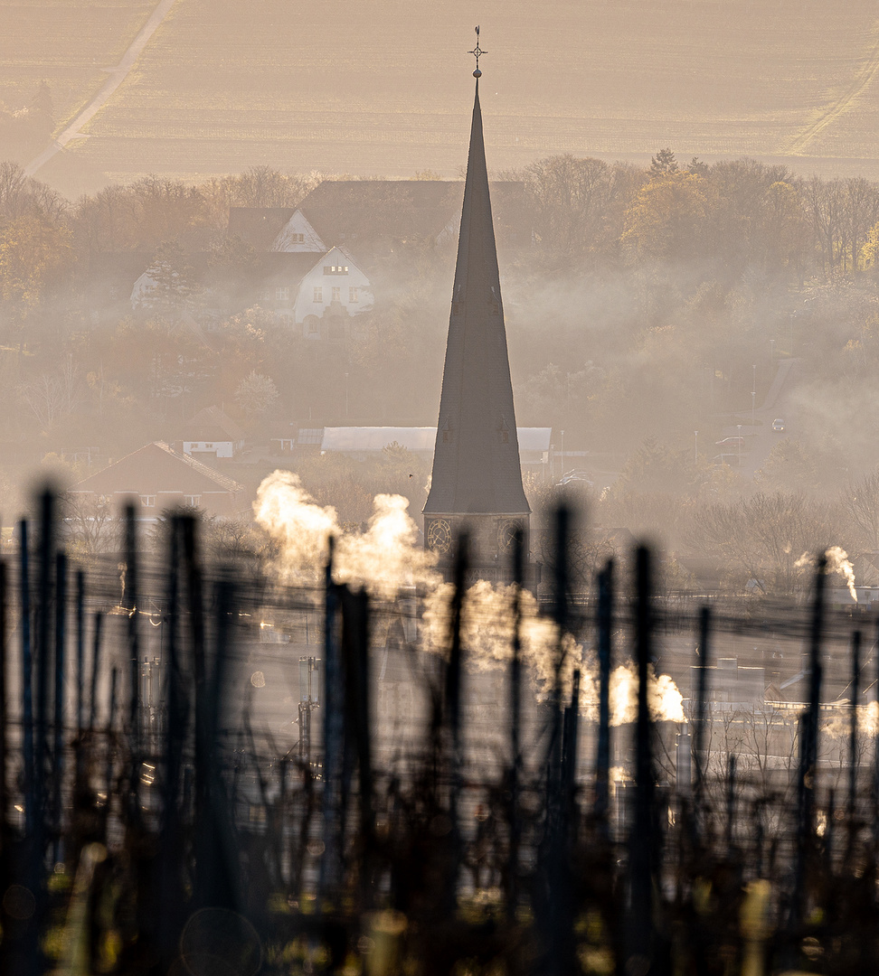 Alzey, St.Kilian und der Wein