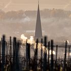 Alzey, St.Kilian und der Wein