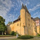 Alzeyer Schloss am Anfang des Sommers