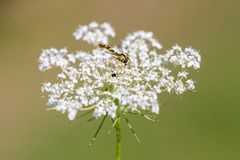 Am 01.10. 2023 bei mir zu Besuch I