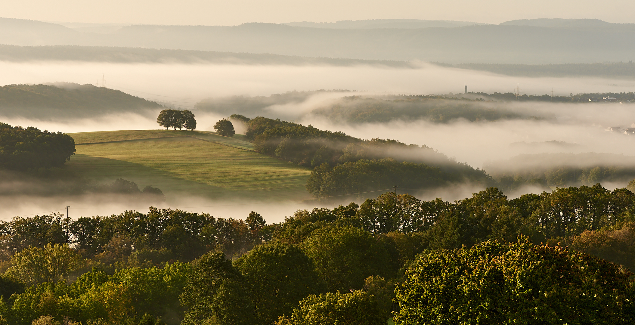 Am 04.10.2023 durch den Nebel geblickt, es geht langsam wieder los bei mir mit der Nebelstimmung…