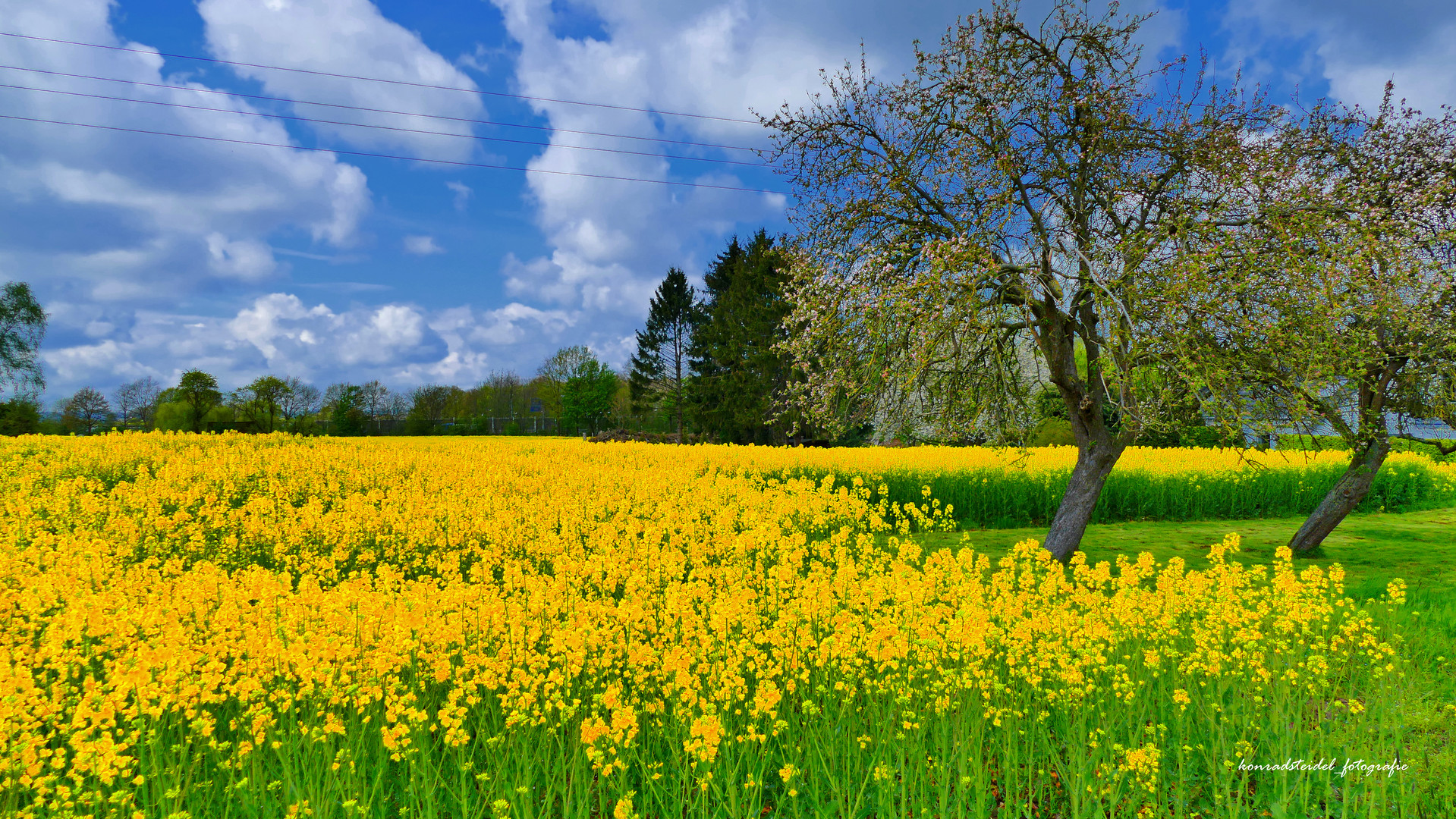  Am 06.05.21 in Lockhausen