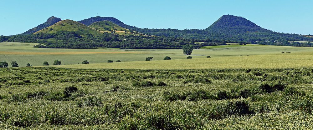 Am 06.07. noch mal im Südlichen Böhmischen Mittelgebirge bei Oblik und Co