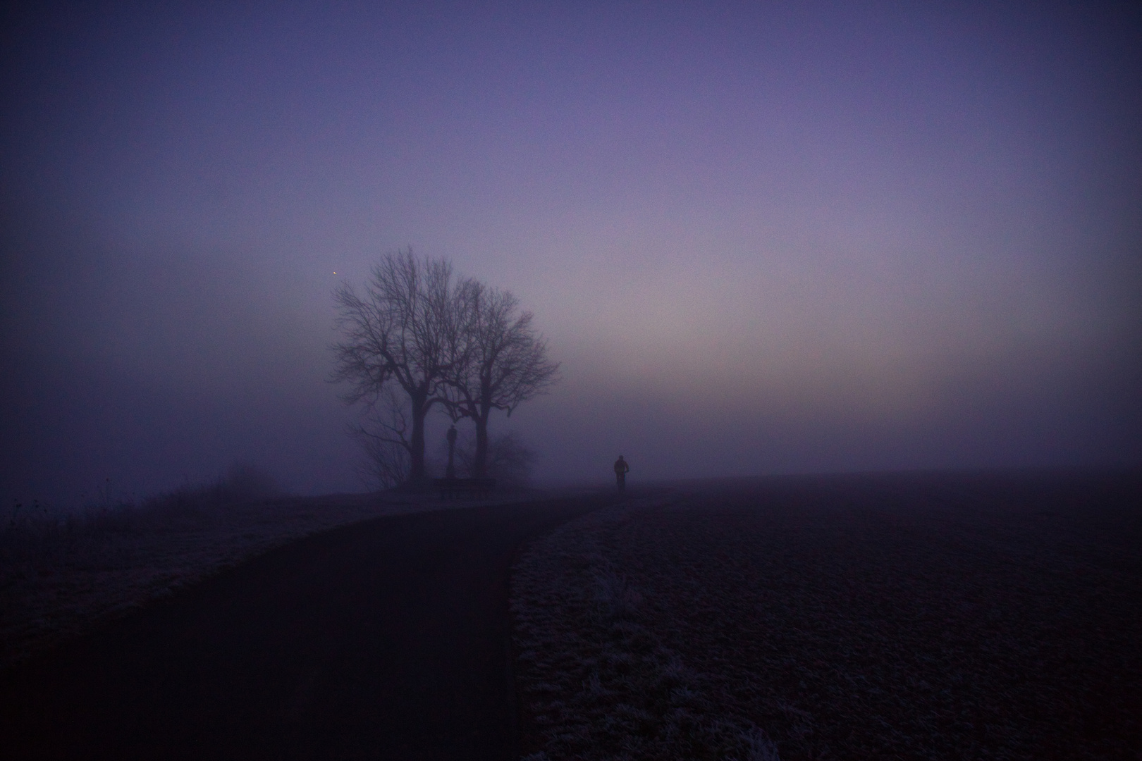 am 1. Januar - in den Nebel hinein