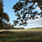 am 1. September war  meteorologischer Herbstbeginn 