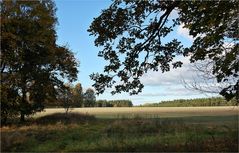 am 1. September war  meteorologischer Herbstbeginn 