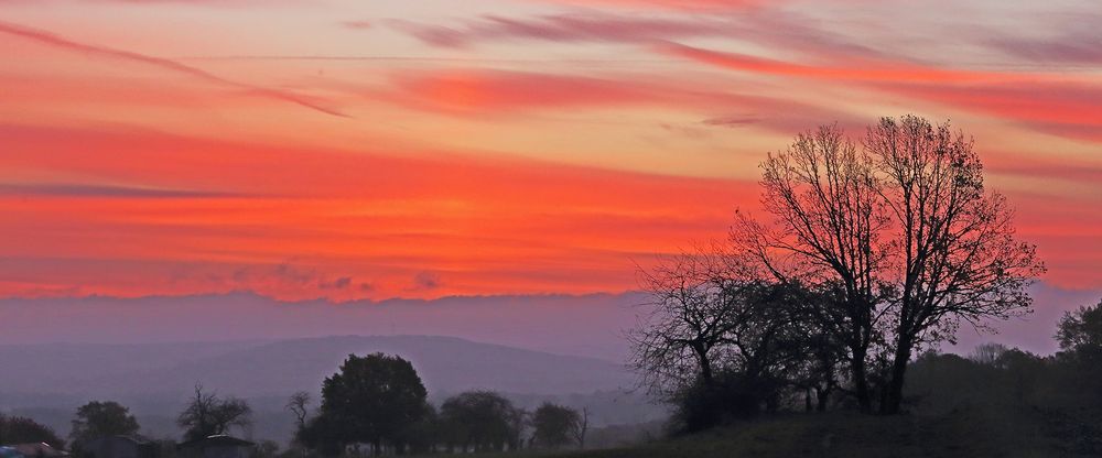 Am 11.11. 2020 ein schönes Morgenrot aber die Wolken hatten später...