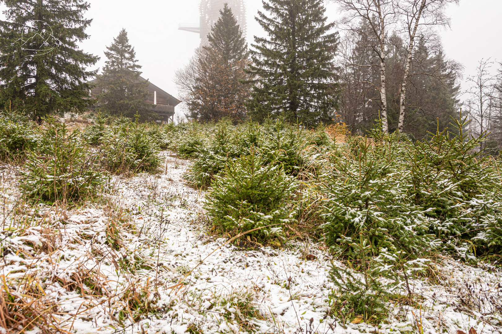 Am 11.11. war es soweit der erste Schnee des Jahres 