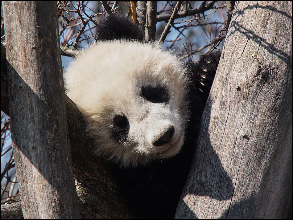 Am 13.3.2014 in Schönbrunn