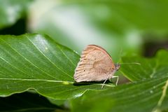 am 16.06. 22 im Wald