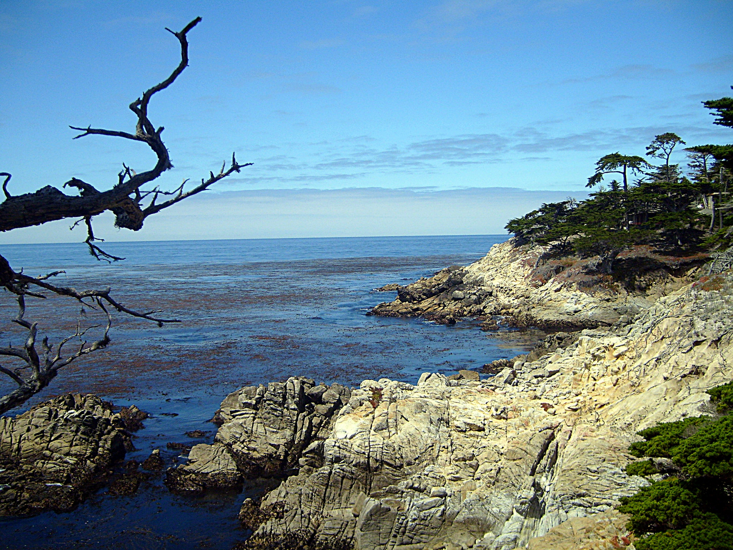 Am 17 - Mile Drive