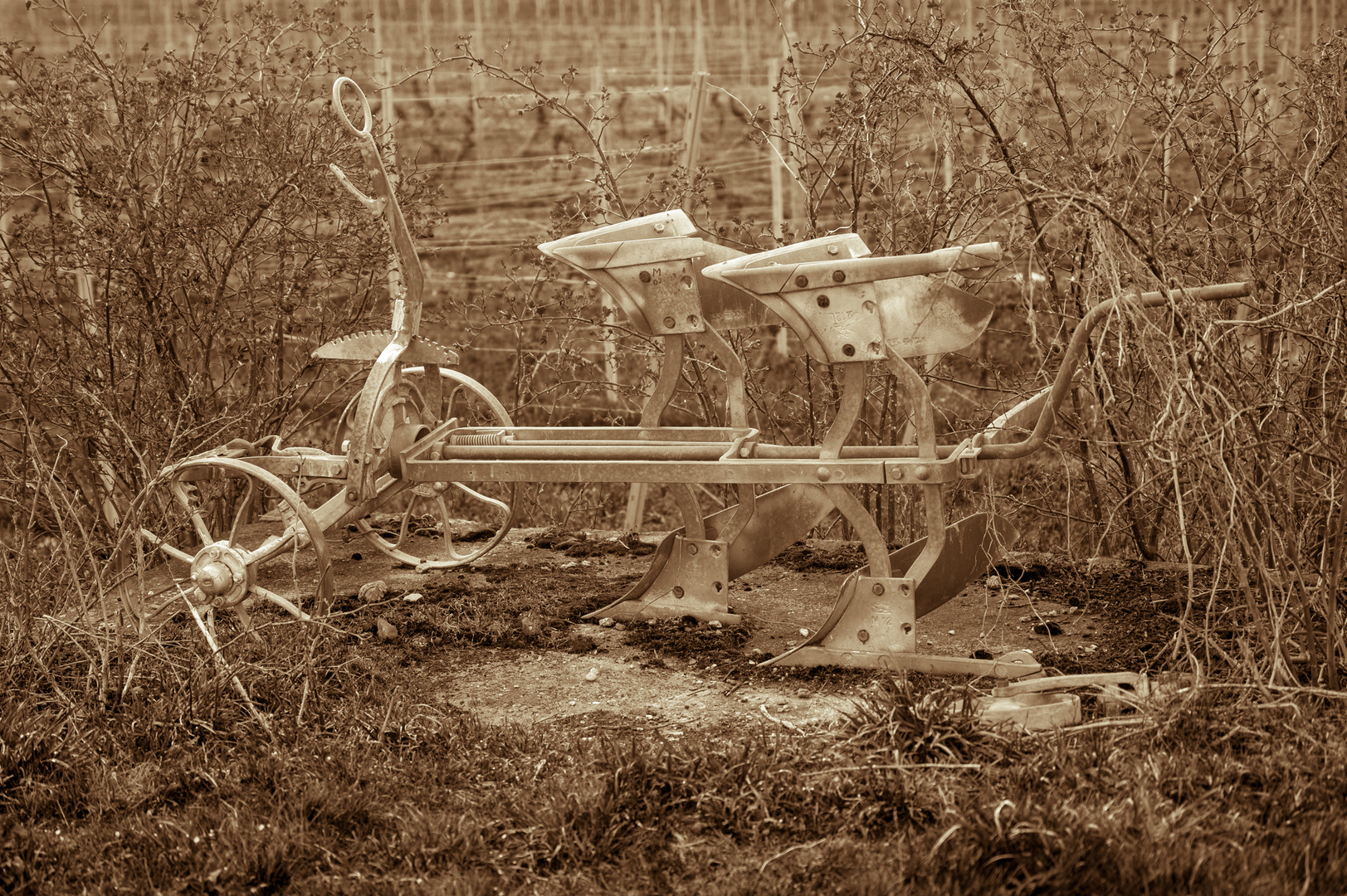 am 19.03.2023 - Im Weinberg von Bad Kreuznach - Wie Dazumal