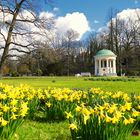 Am 19.03.21 im Kurpark Bad Salzuflen