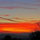 Am 19.11. 2020 7.04 Uhr lange vor Sonnenaufgang zugeschlagen...