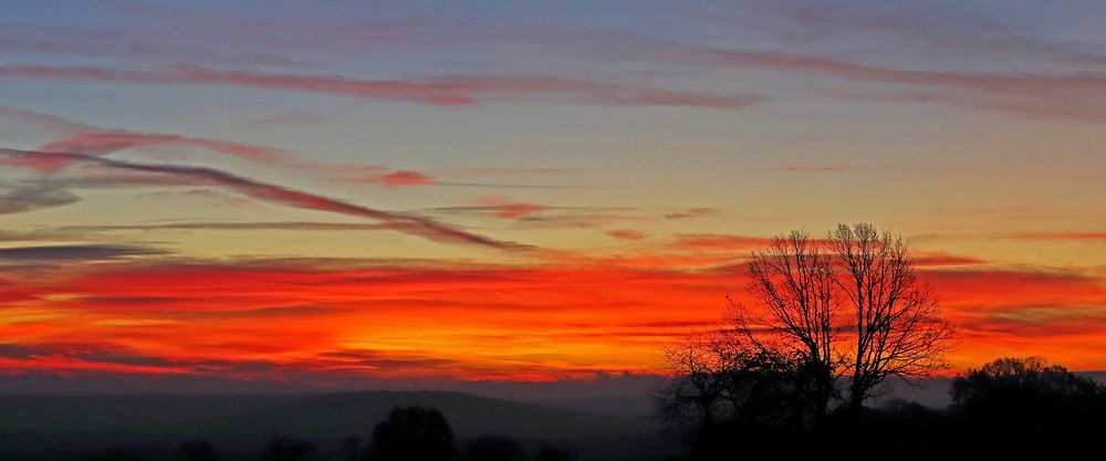 Am 19.11. 2020 7.04 Uhr lange vor Sonnenaufgang zugeschlagen...