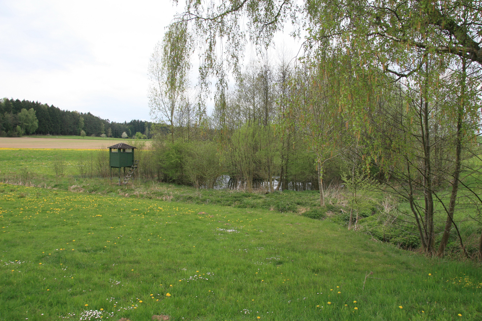 Am 1.mai 2010 in der Nähe von Burk beim IVV Wandertag in Burk