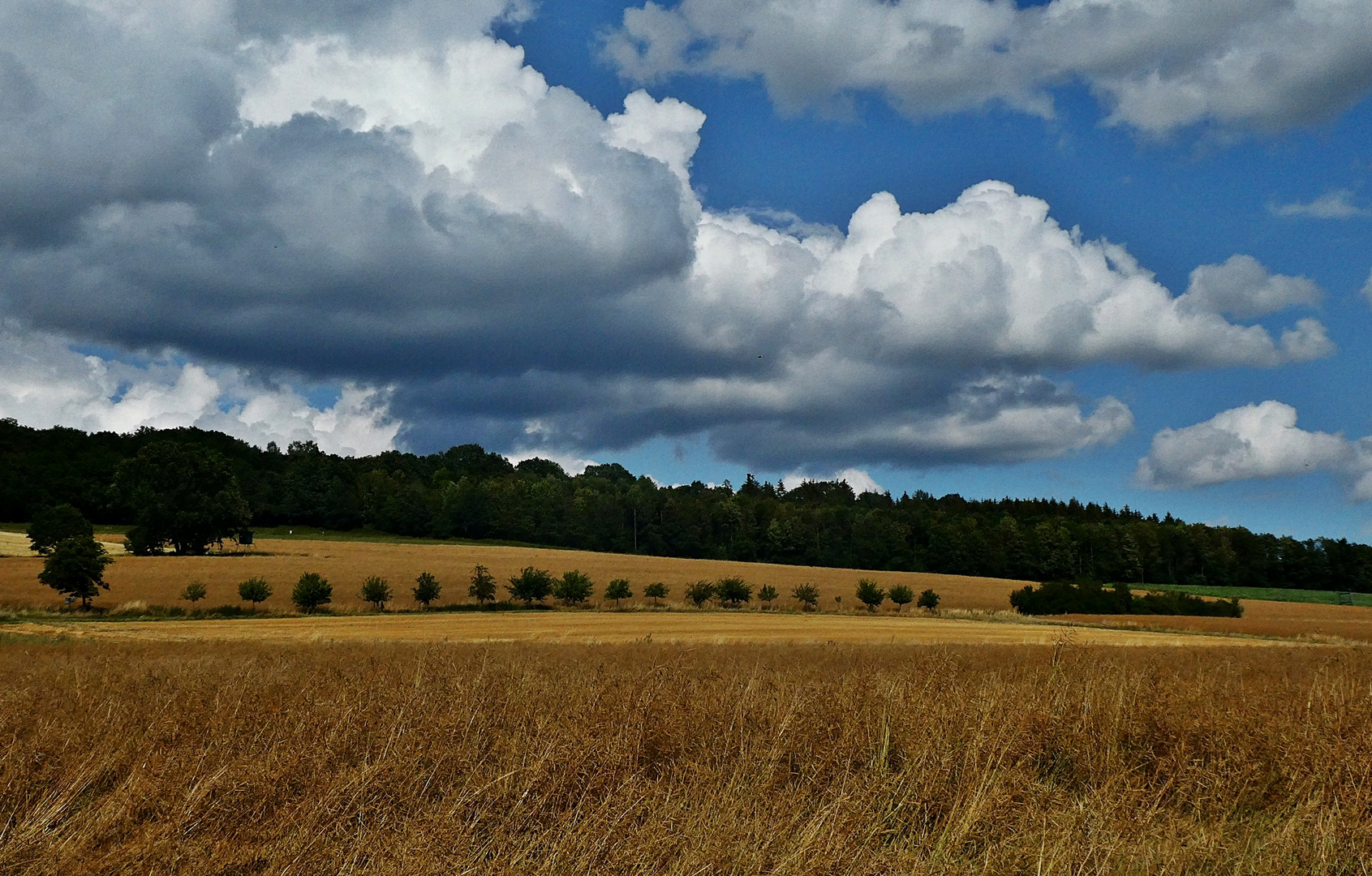 Am 20.7.2023 bei super Wetter