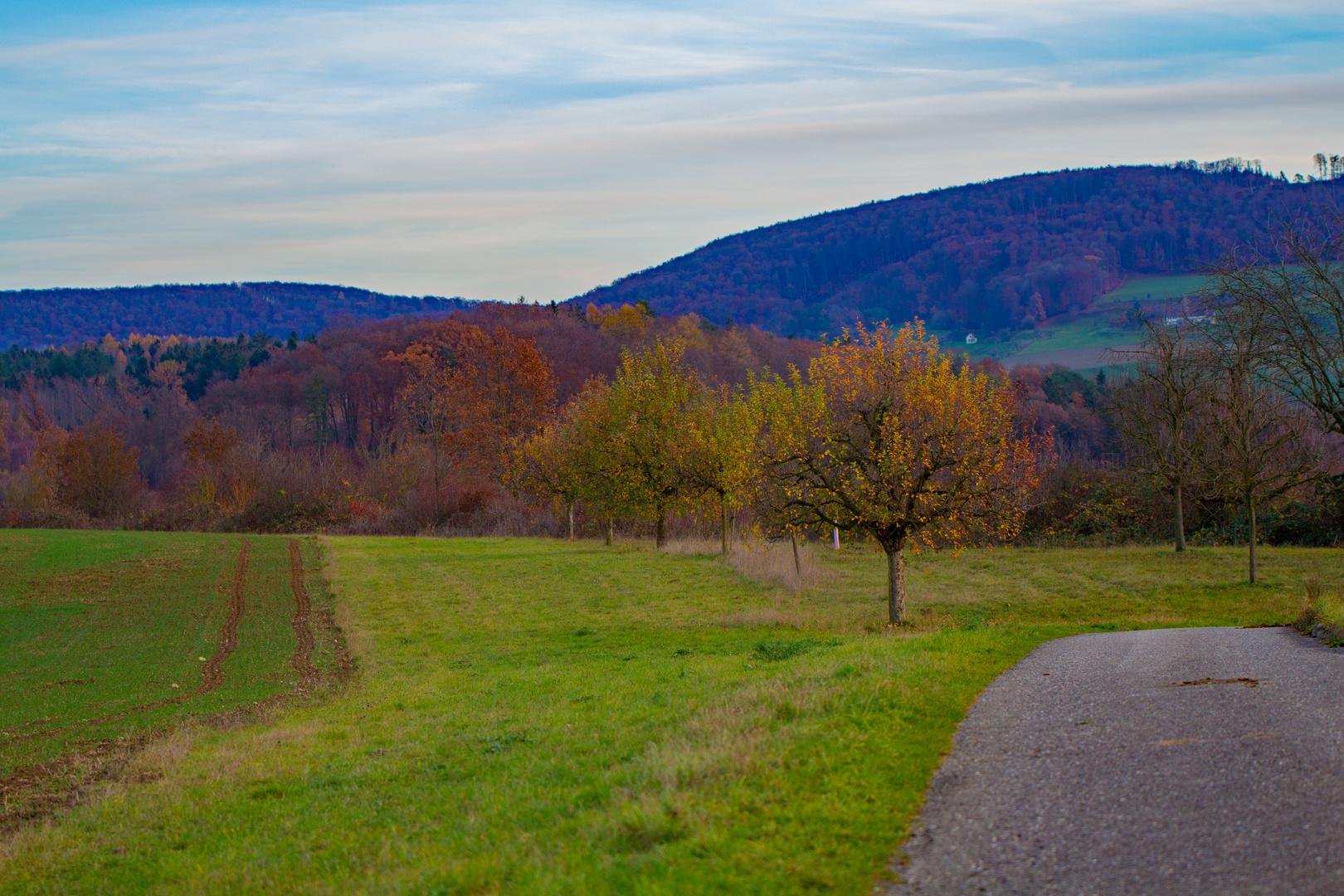 Am 24. November 2018  und immer noch solche Farben . 