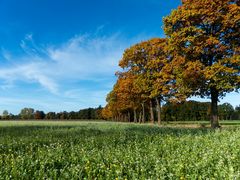 Am 25.Oktober unterwegs