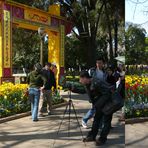 Am 5. Februar im Daguan-Park in Kunming