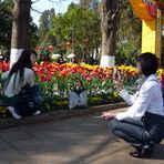 Am 5. Februar vor einem Jahr im Daguan-Park in Kunming