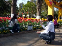 Am 5. Februar vor einem Jahr im Daguan-Park in Kunming