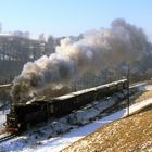 Am 7 jan. 1990 bei Seiffersdorf.