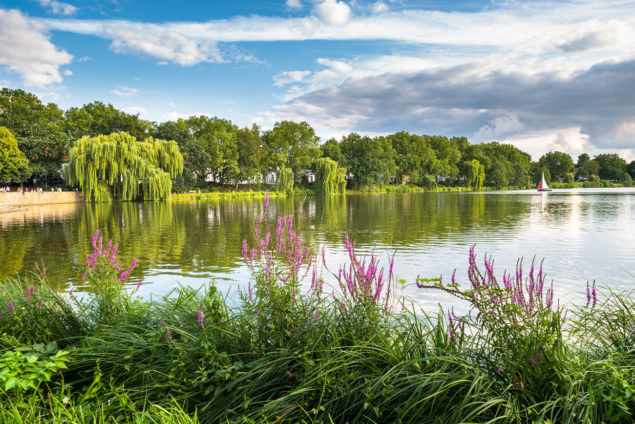 Am Aasee