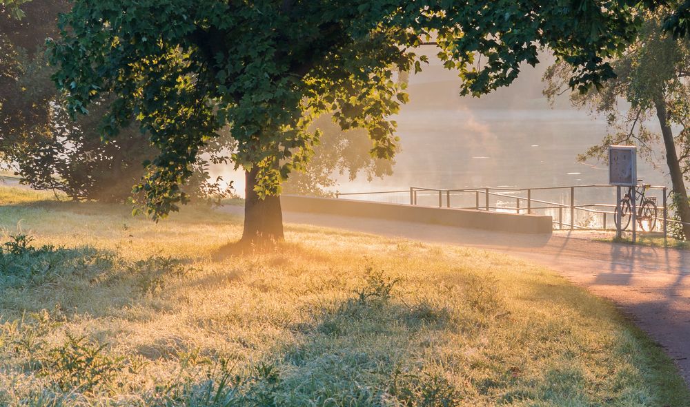 Am Aasee Münster